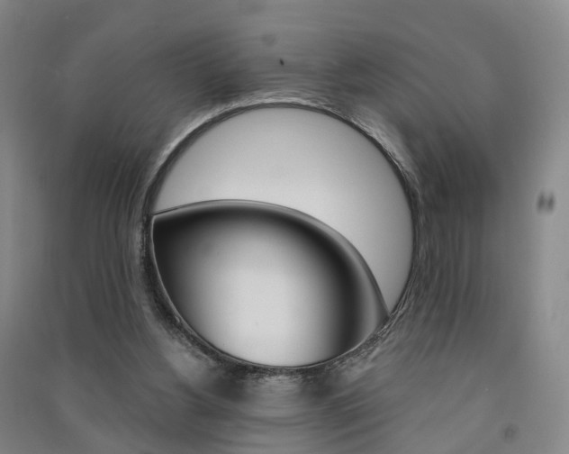 X0000091570156200708200959