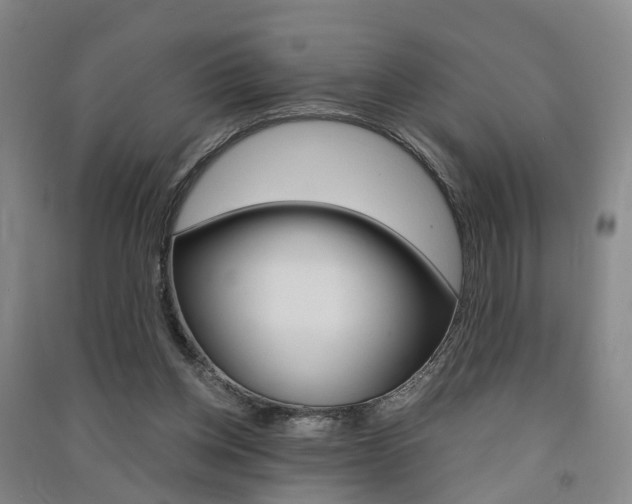 X0000091570158200708200959