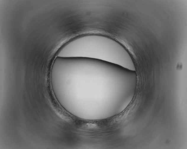 X0000091570159200708200959
