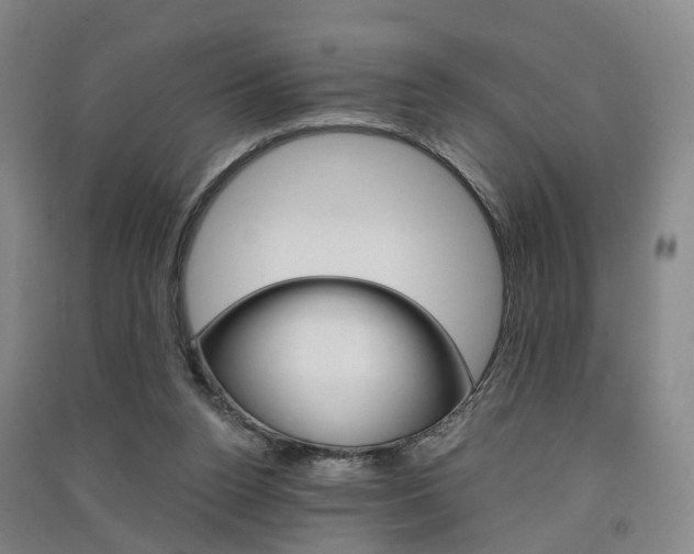 X0000091570160200708200959