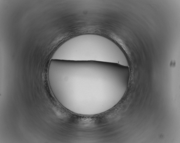 X0000091570161200708200959