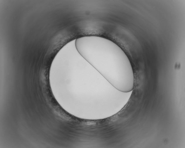 X0000091570162200708200959