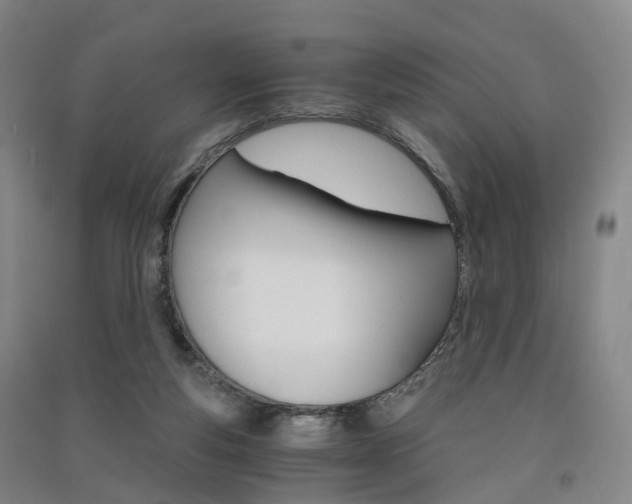 X0000091570163200708200959