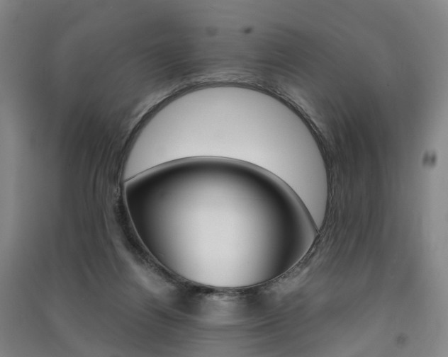 X0000091570164200708200959