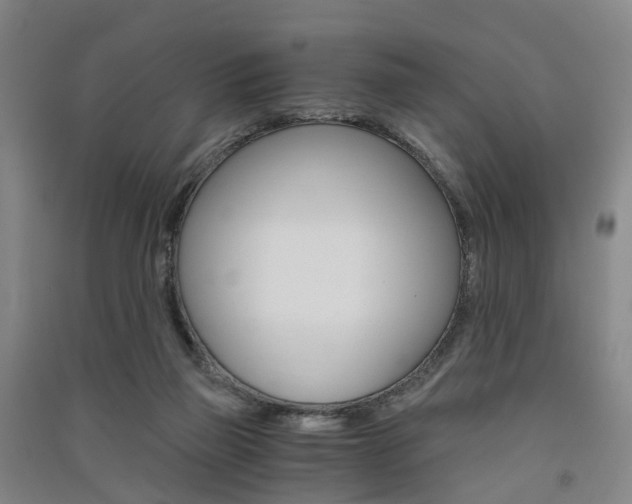 X0000091570165200708200959