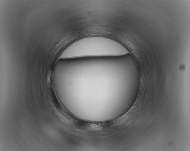 X0000091570166200708200959