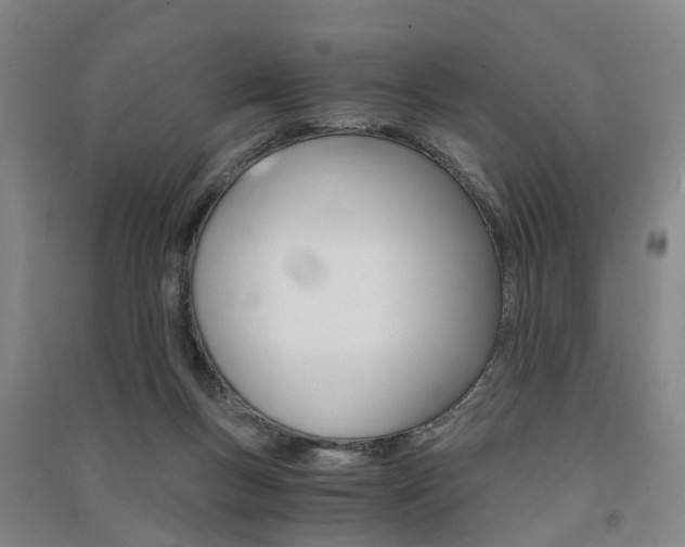 X0000091570167200708200959
