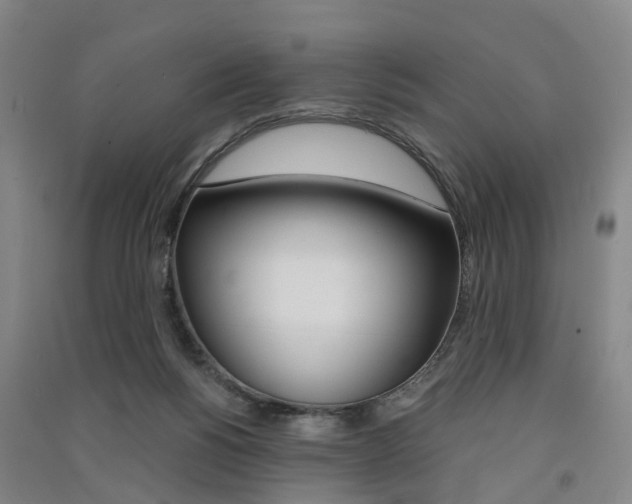 X0000091570168200708200959