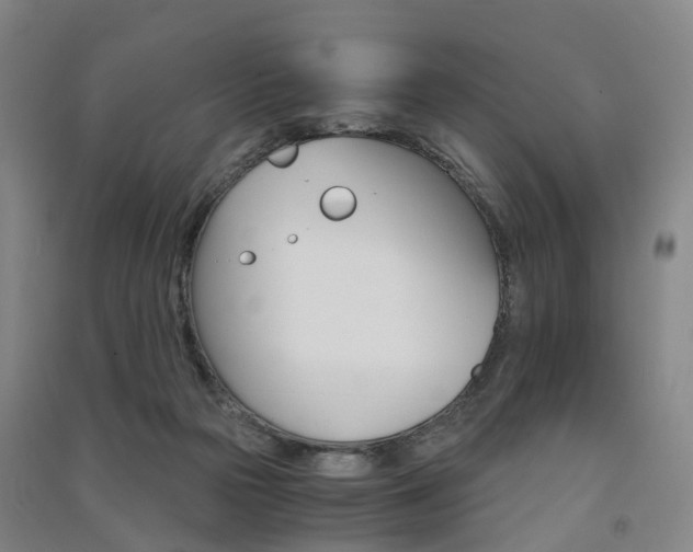 X0000091570169200708200959