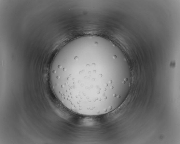 X0000091570171200708200959