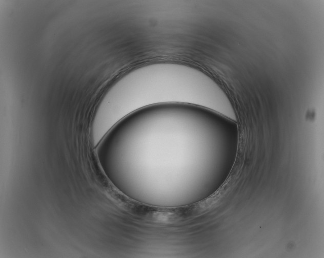 X0000091570172200708200959