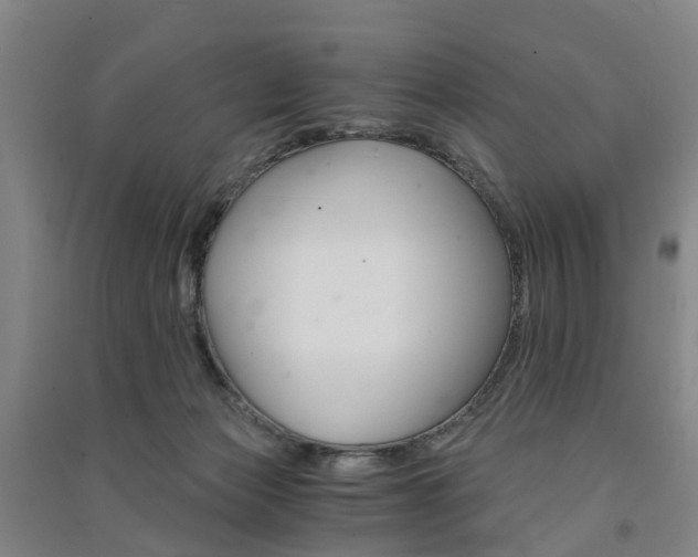 X0000091570173200708200959