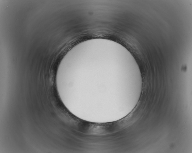 X0000091570174200708200959