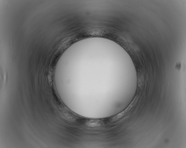 X0000091570175200708200959