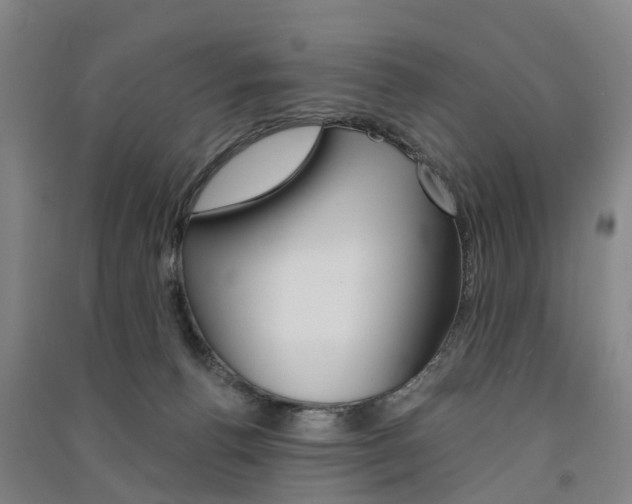 X0000091570176200708200959