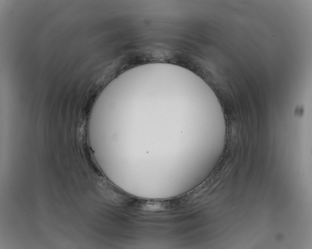 X0000091570177200708200959