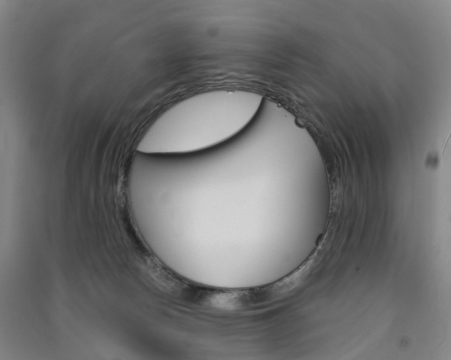 X0000091570178200708200959