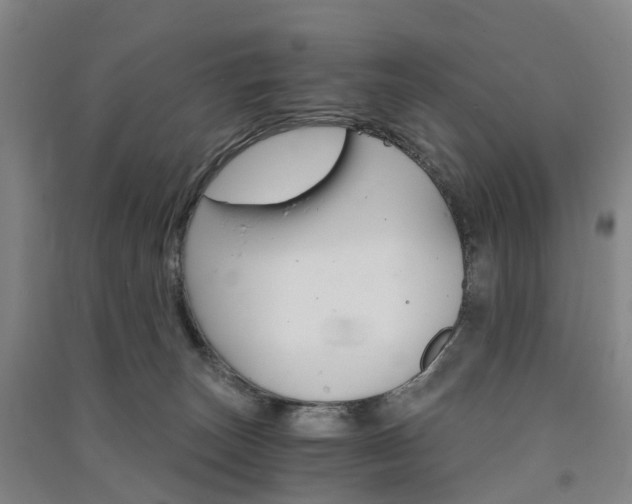 X0000091570179200708200959