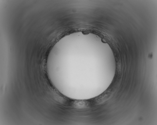 X0000091570181200708200959