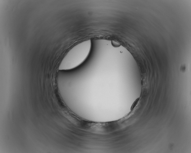 X0000091570182200708200959