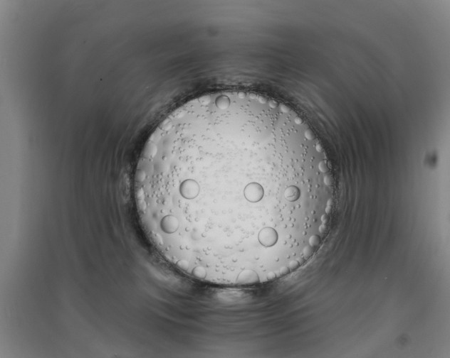 X0000091570183200708200959