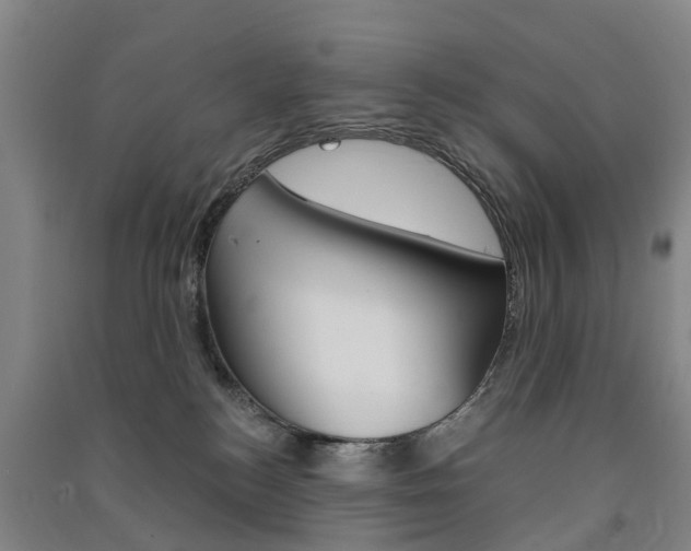 X0000091570184200708200959