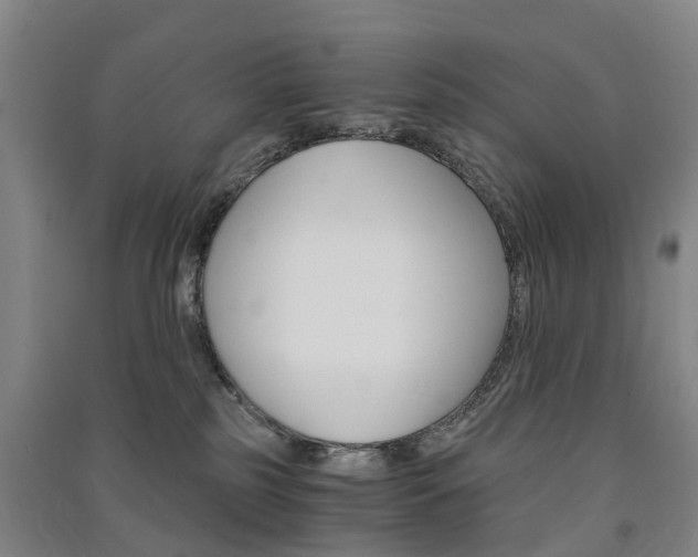 X0000091570185200708200959