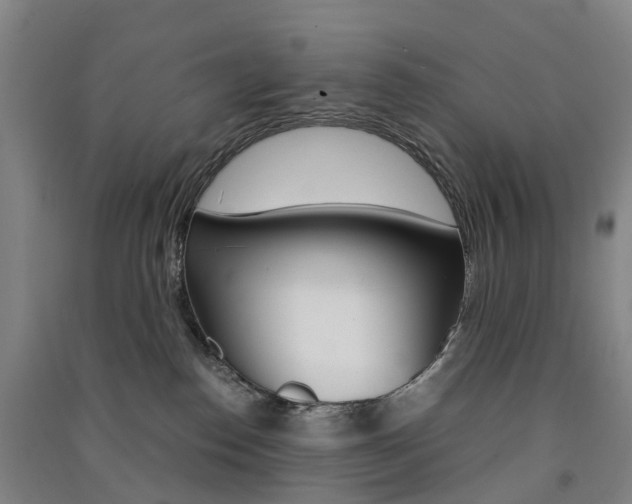 X0000091570186200708200959