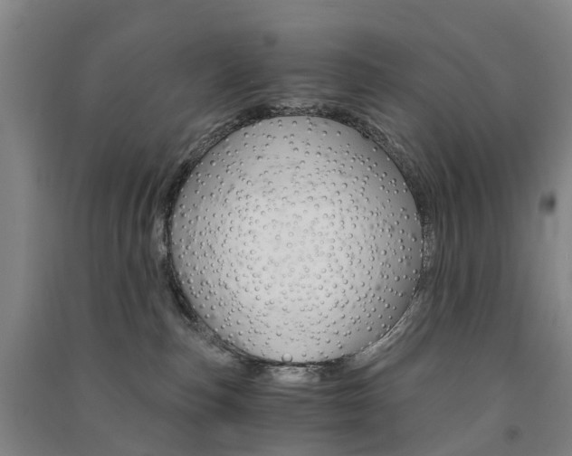 X0000091570187200708200959