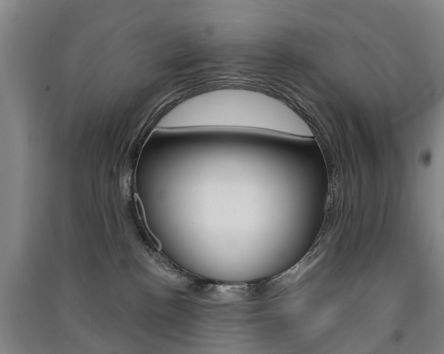 X0000091570188200708200959