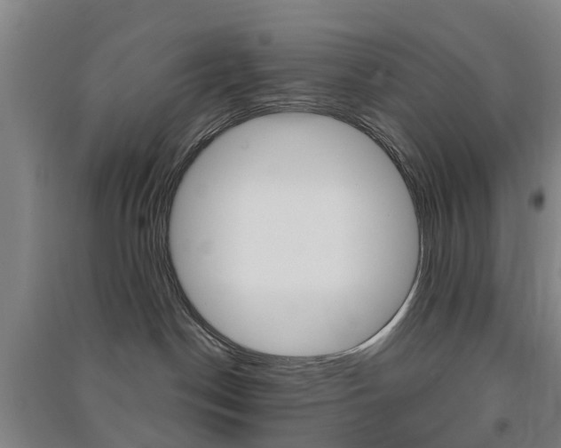 X0000091570190200708200959