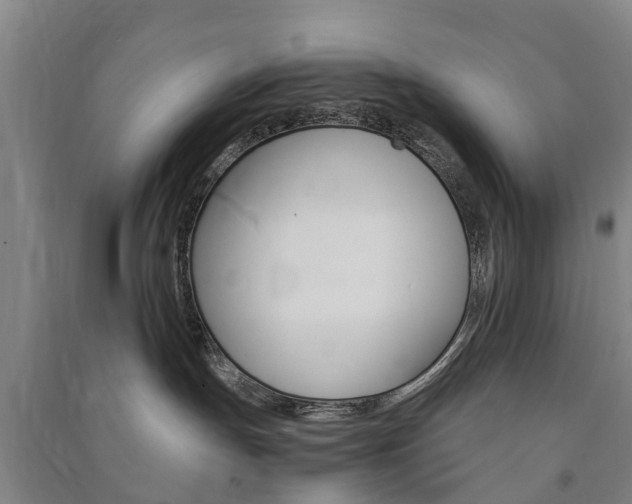 X0000091570191200708200959