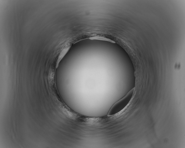 X0000091570192200708200959