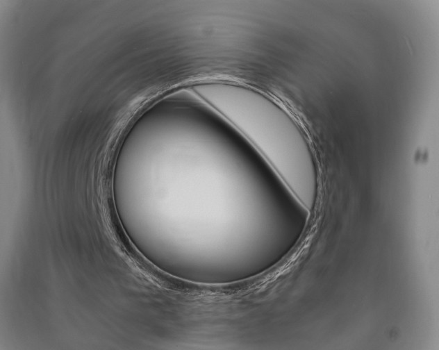 X0000091570193200708200958