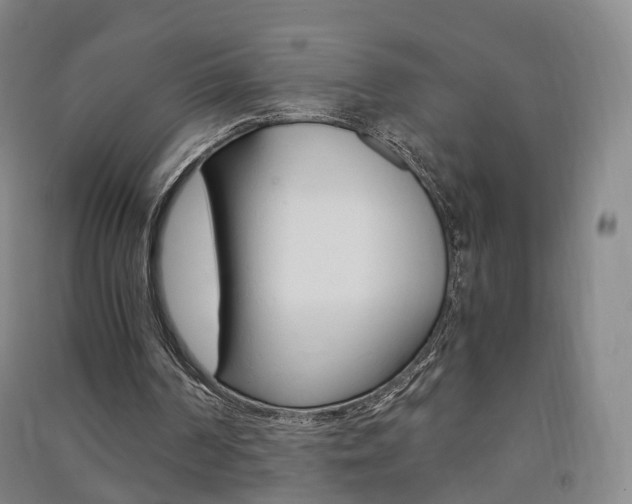 X0000091570194200708200958