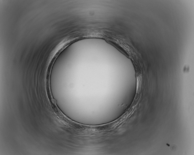 X0000091570195200708200958