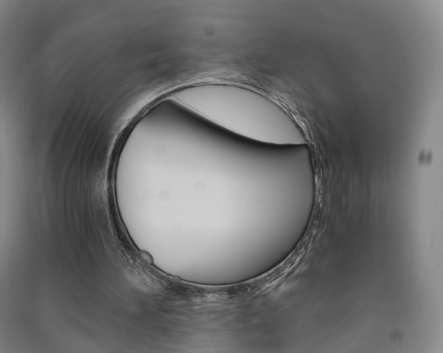 X0000091570196200708200958
