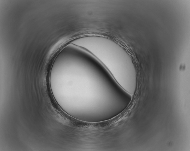 X0000091570197200708200958