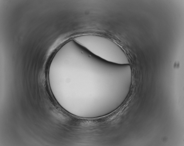 X0000091570198200708200958