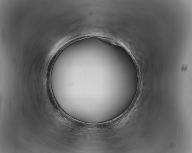 X0000091570199200708200958