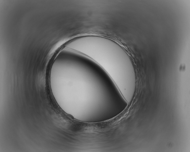 X0000091570200200708200958