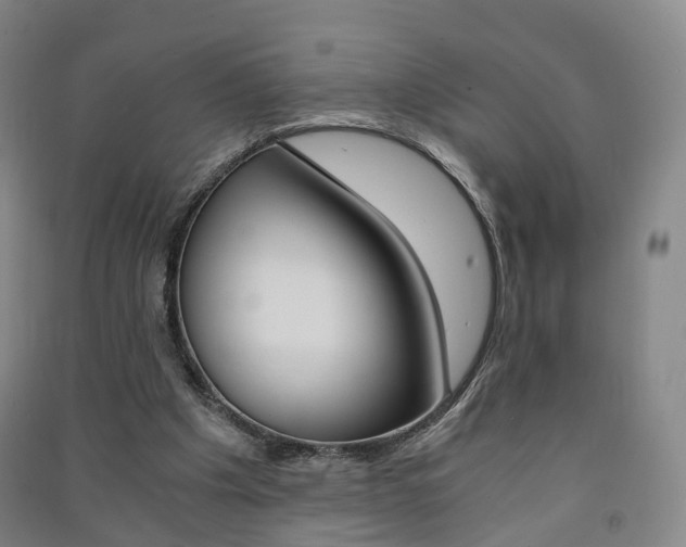 X0000091570201200708200958
