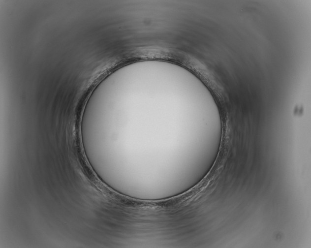 X0000091570202200708200958