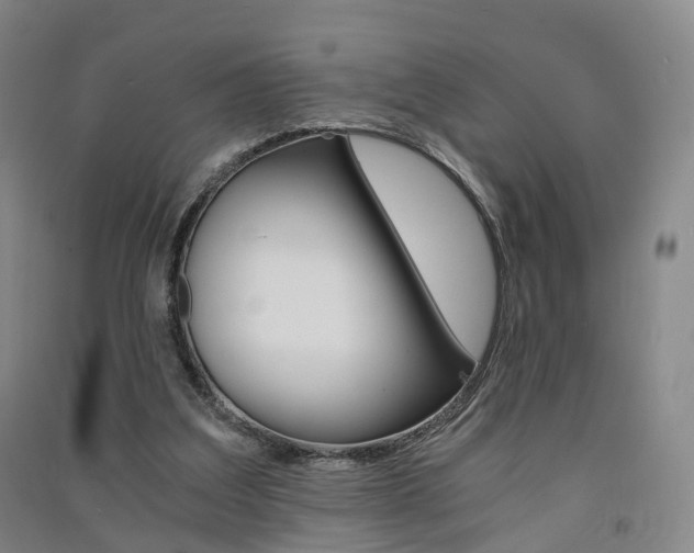 X0000091570203200708200958