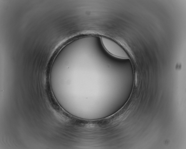 X0000091570204200708200958