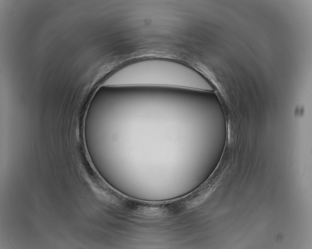 X0000091570205200708200958