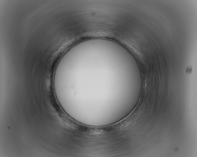 X0000091570206200708200958