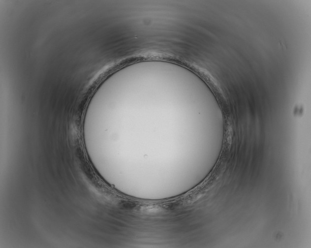 X0000091570208200708200958