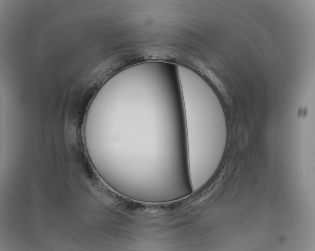 X0000091570209200708200958