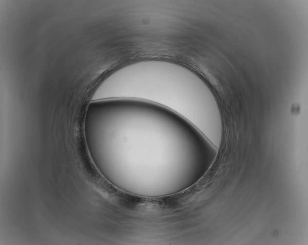 X0000091570211200708200958